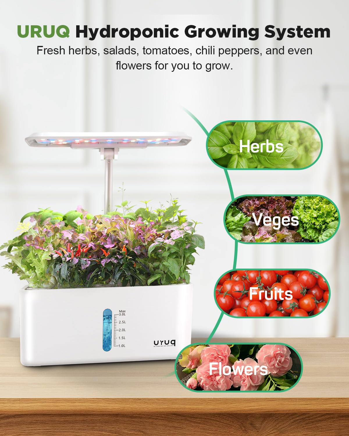 Indoor garden with URUQ hydroponics system and herbs