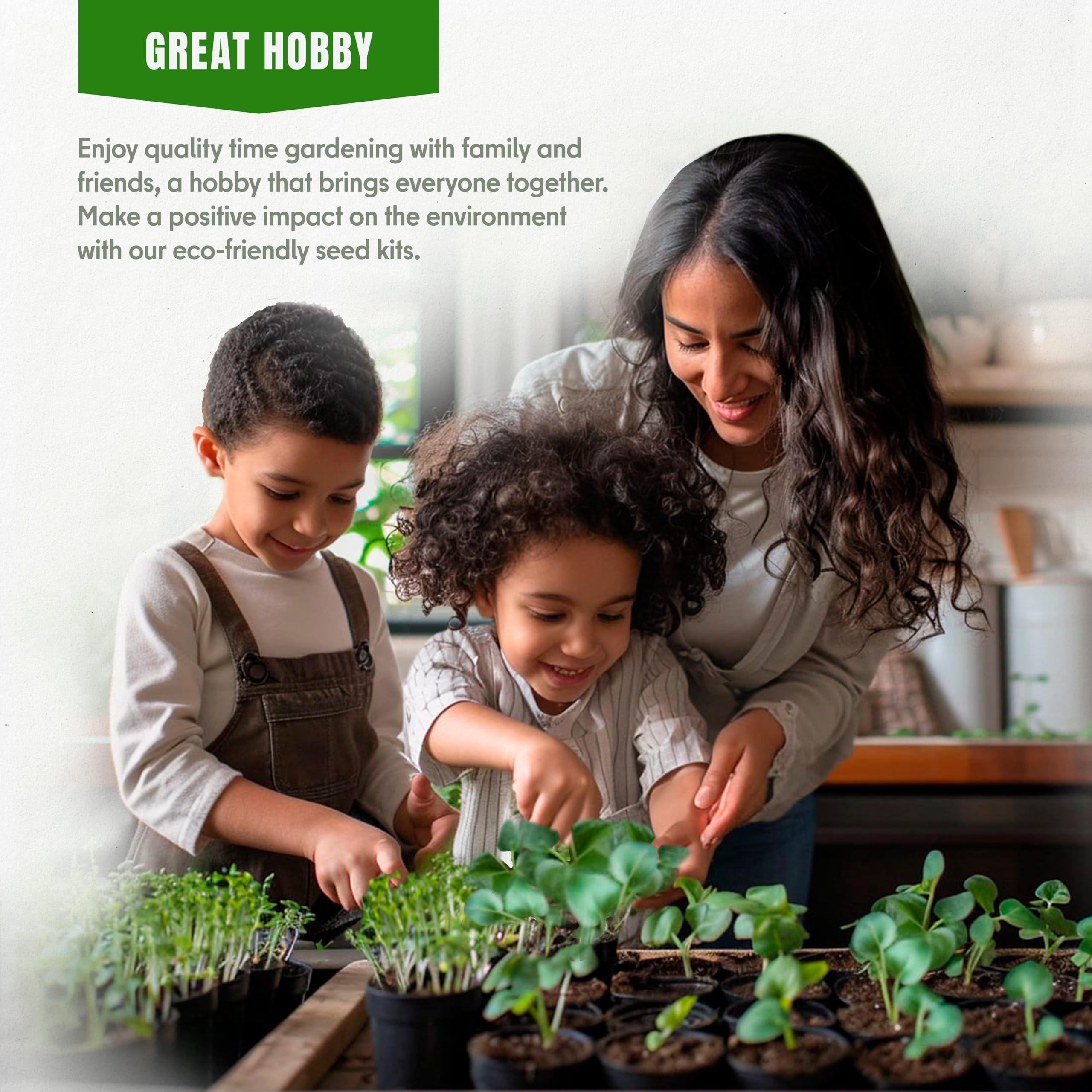 Indoor gardening setup with SPROUTME SEEDS lettuce seeds