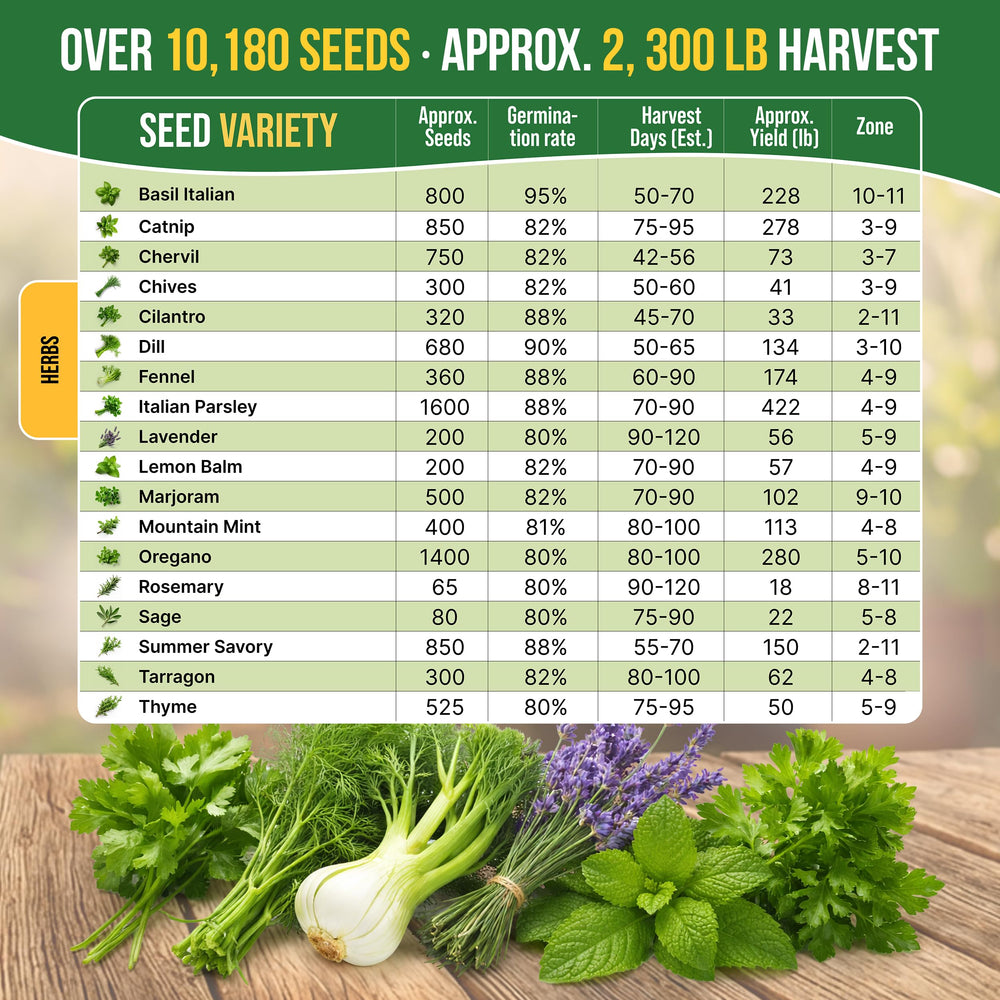 Indoor herb garden using Organo Republic seeds