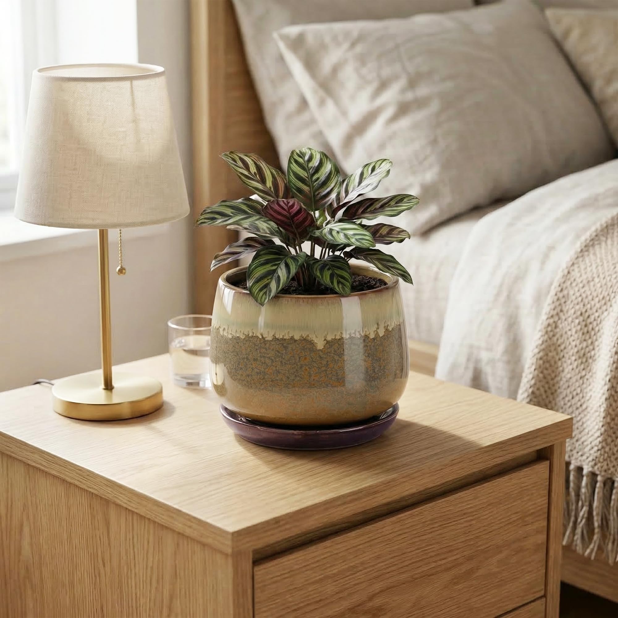 Indoor plant pot with drainage and saucer