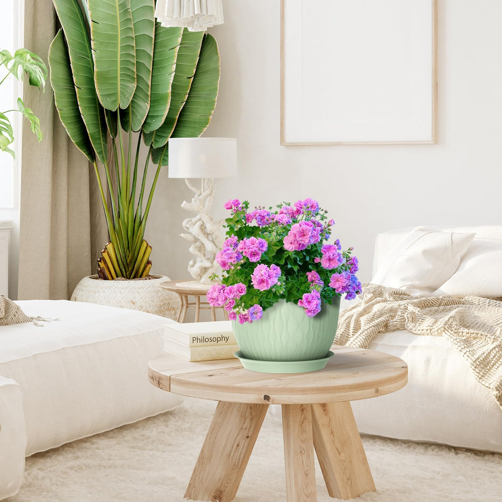 Indoor plants in Meowell flower pots with drainage holes