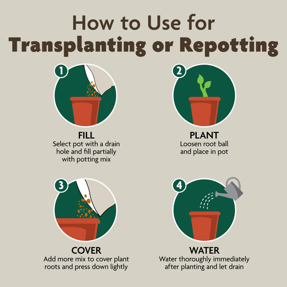 Indoor plants in pots filled with Miracle-Gro Organic Potting Mix