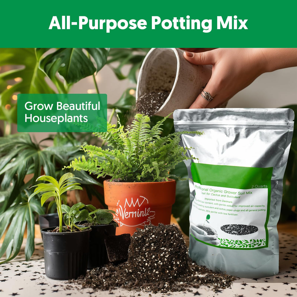 Indoor plants thriving in THE NEXT GARDENER.COM Succulent Cactus Potting Soil