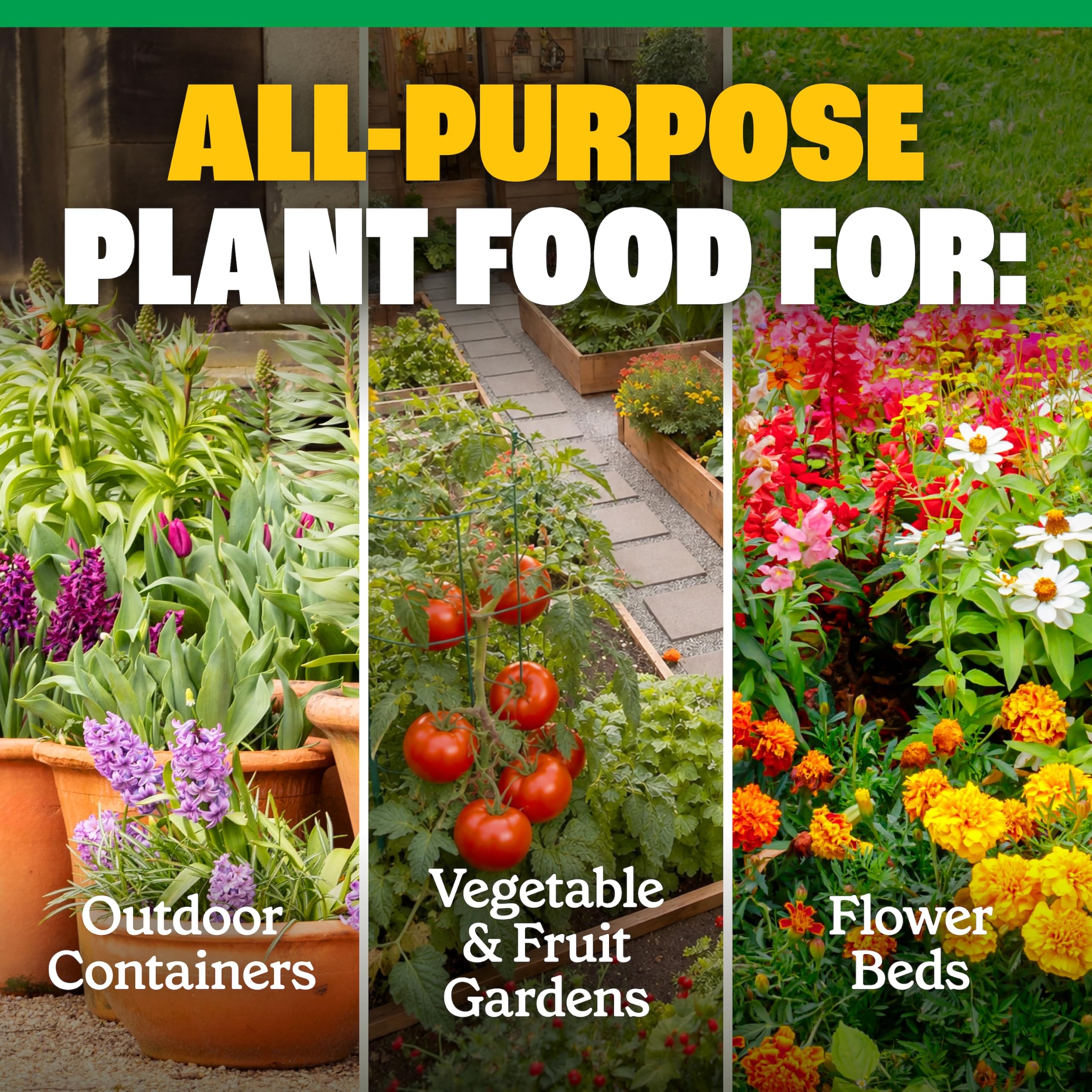 Indoor plants thriving with Pennington Easy-Dose Plant Food