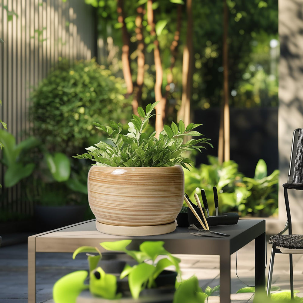 Indoor setting with SQOWL 10 Inch Ceramic Planter