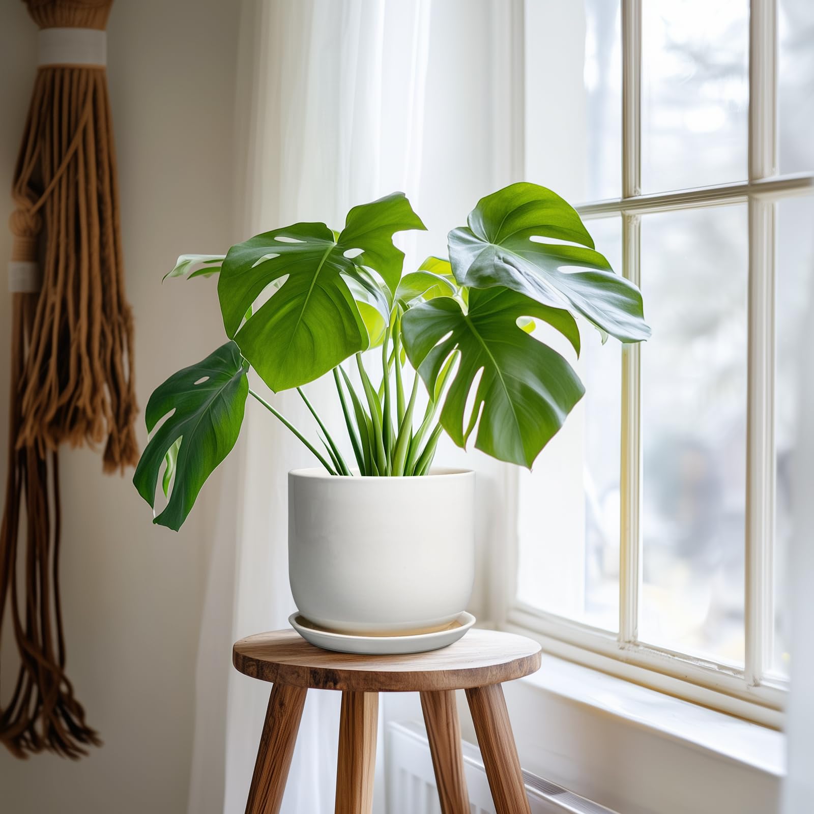 Indoor setting with SUNPOTFOR 7 Inch Pot and plants