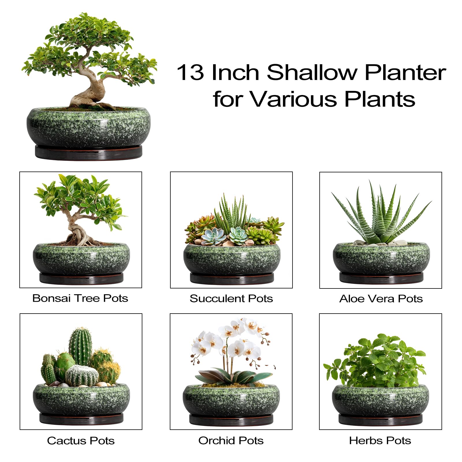 Indoor setup of EPFamily 13 Inch Planter with herbs