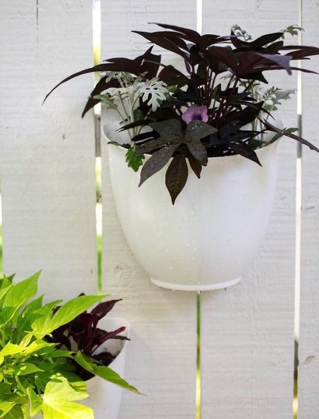 Indoor setup of The HC Companies 8 Inch Garden Wall Planter