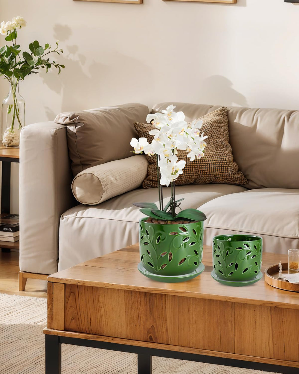 Indoor setup with EFISPSS Orchid Pots and blooming orchids