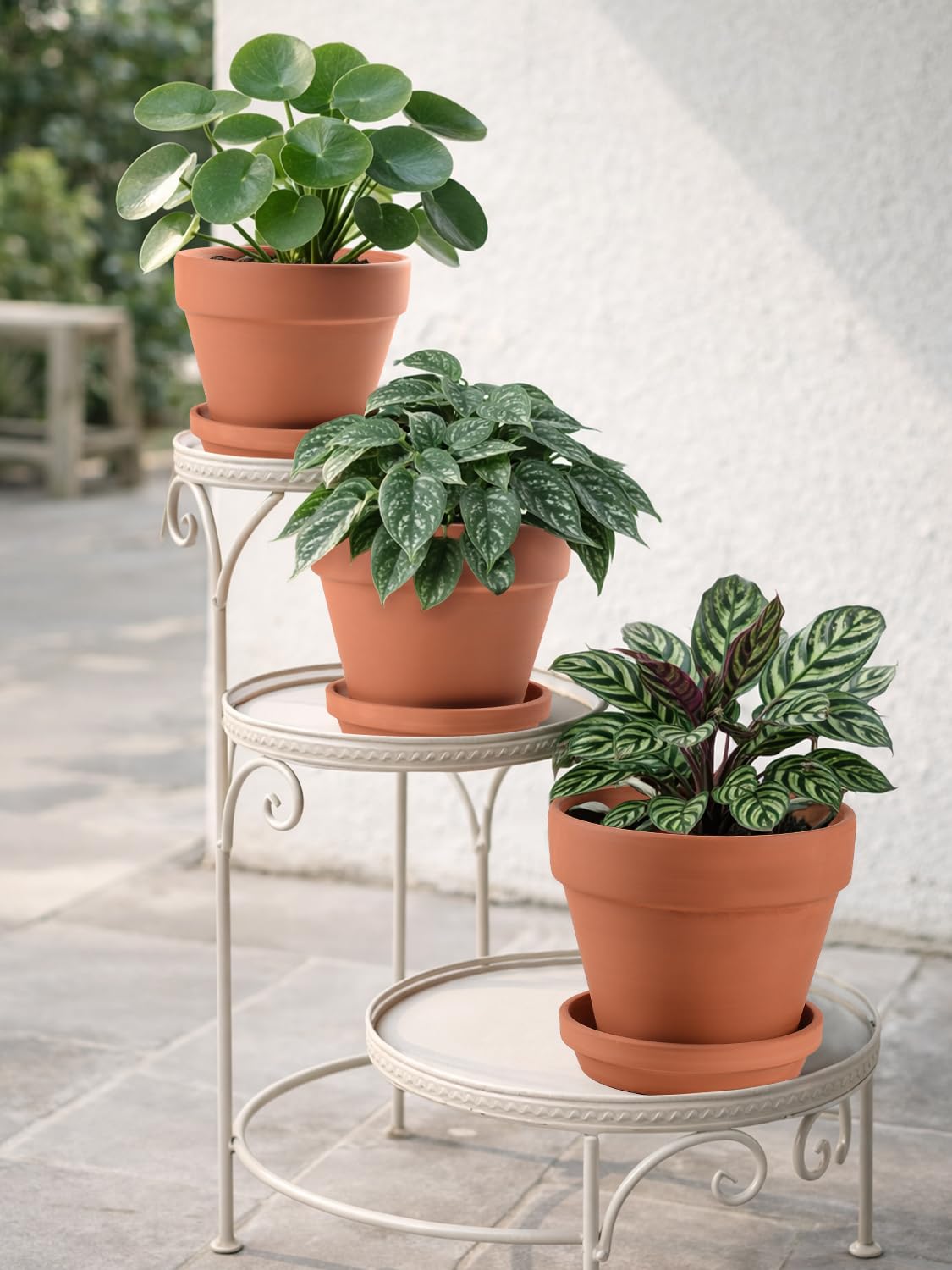 Indoor terracotta pot arrangement on a windowsill