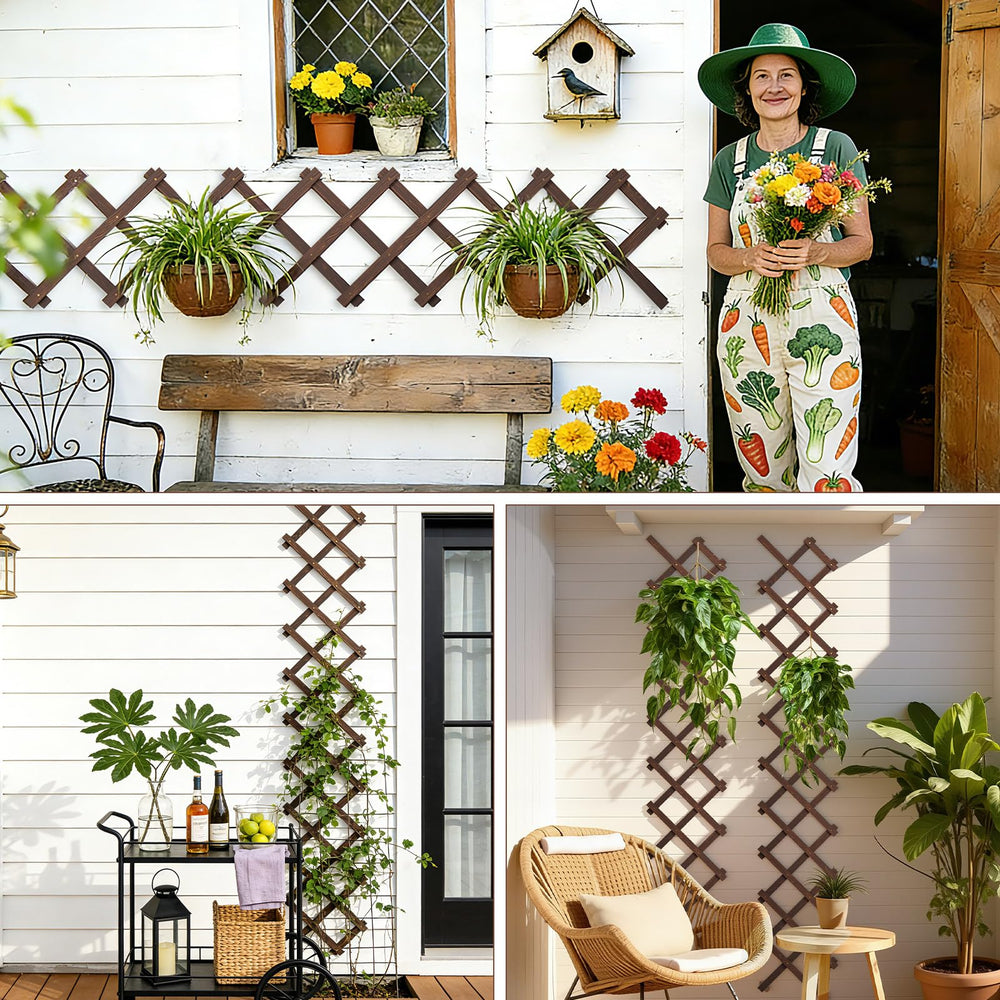 Indoor use of Tilinyan & one Expandable Garden Trellis with decorative plants
