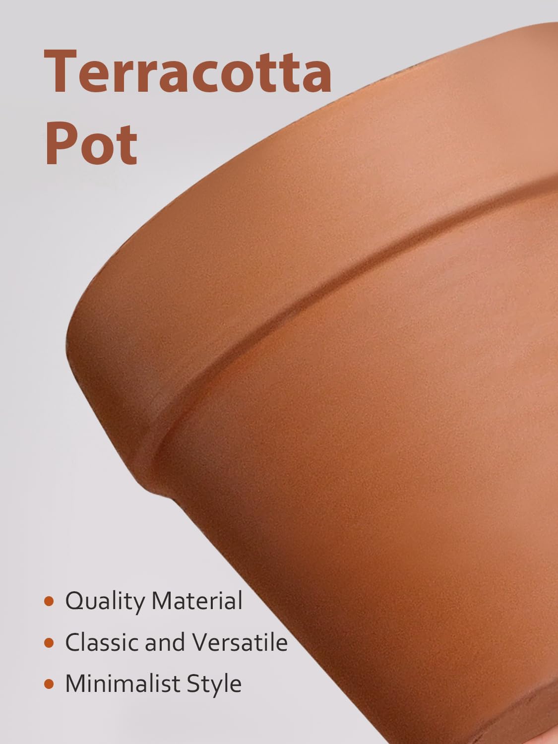 INGOFIN terracotta pot with succulent plant inside