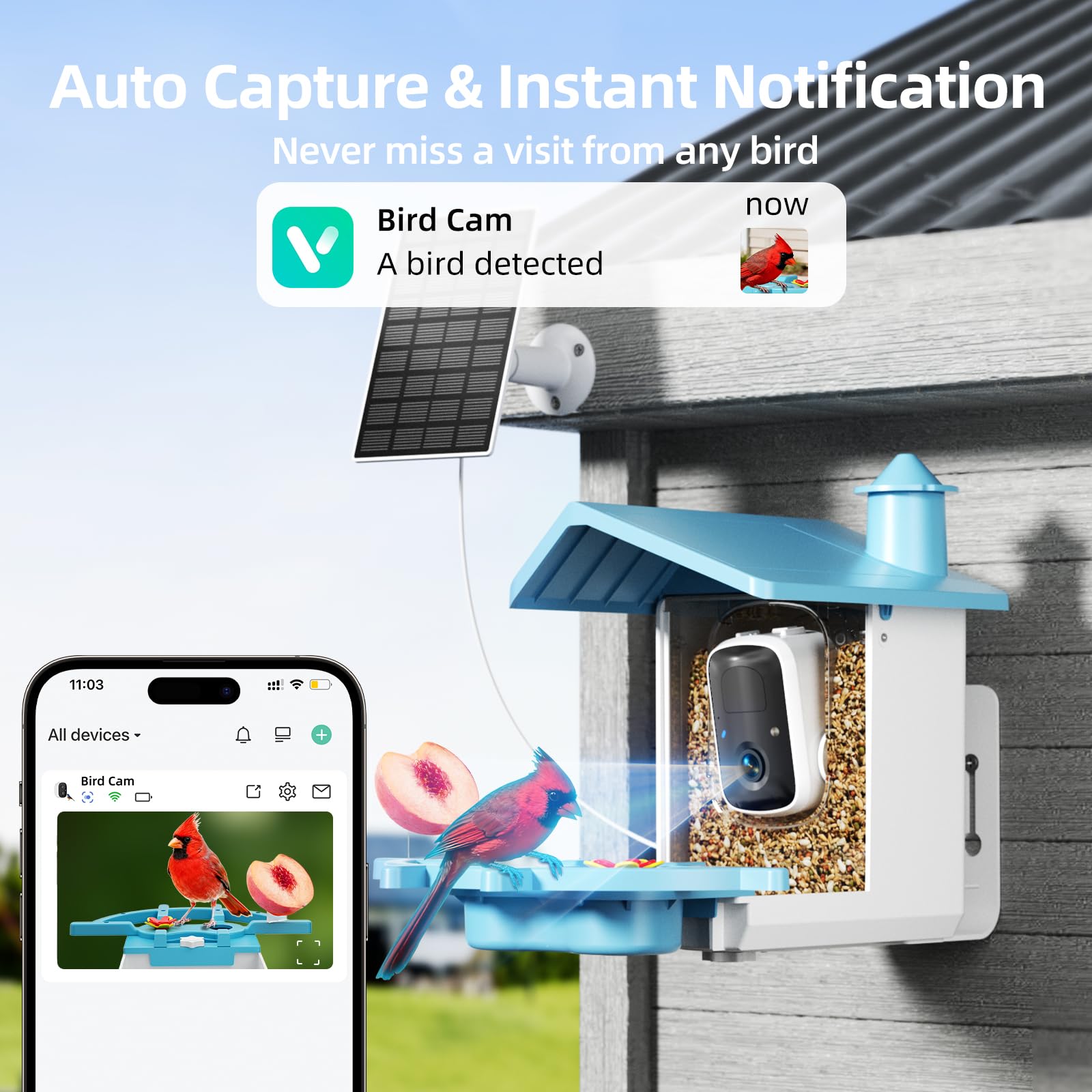 INKCKU Bird Feeder Camera with birds feeding