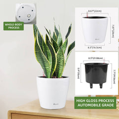 Inner pot of Dexceder Self Watering Planter with plant