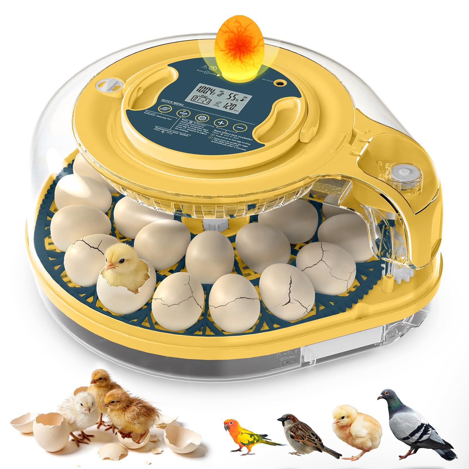 innhom Egg Incubator front view with transparent lid