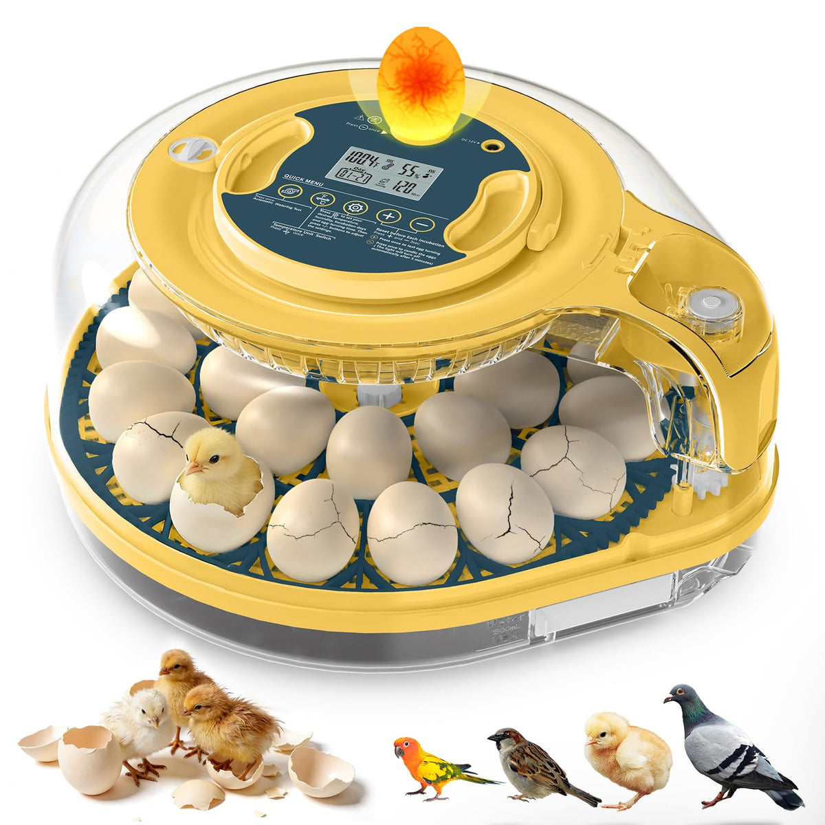 innhom Egg Incubator front view with transparent lid