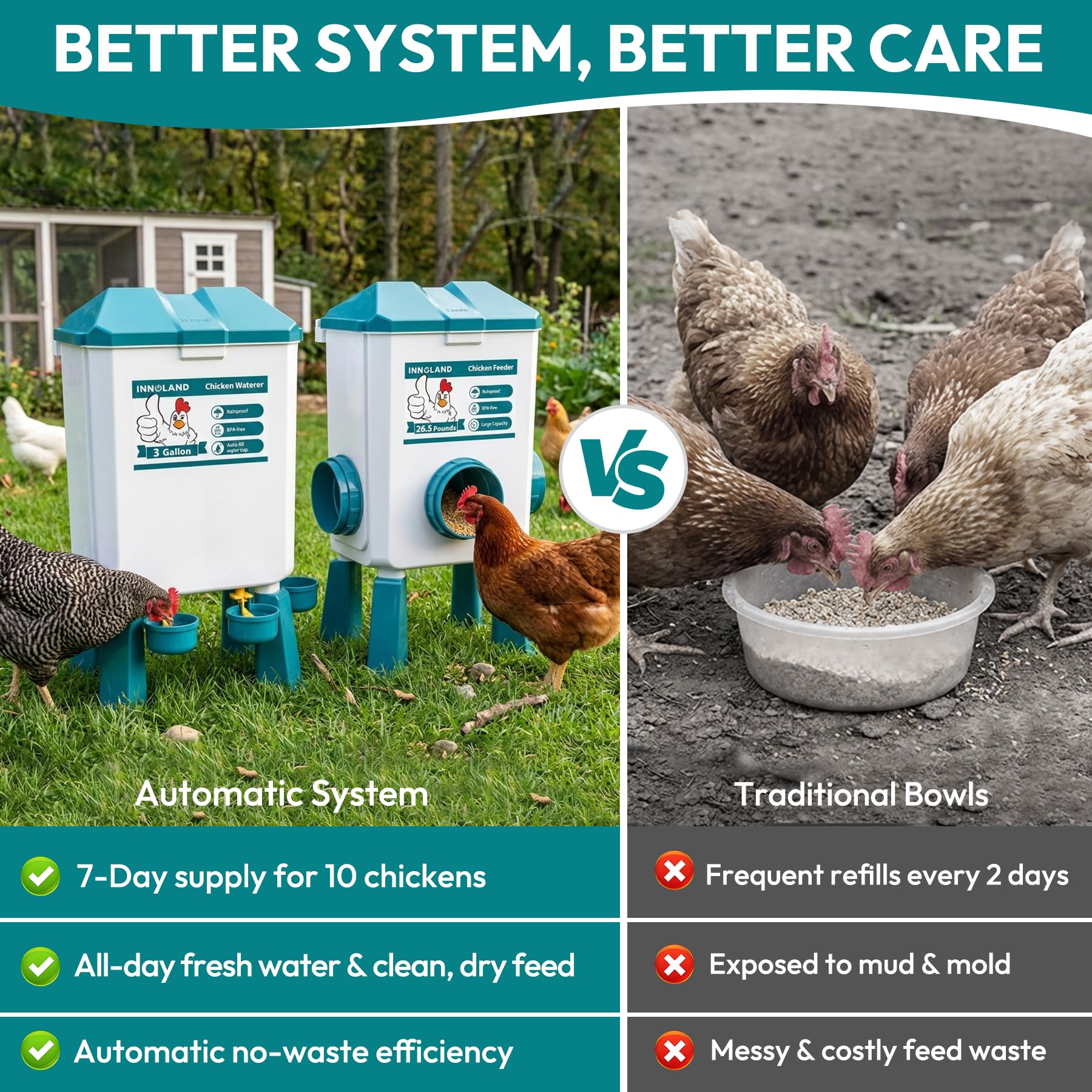 INNOLAND Chicken Feeder and Waterer Set with identification bands and accessories
