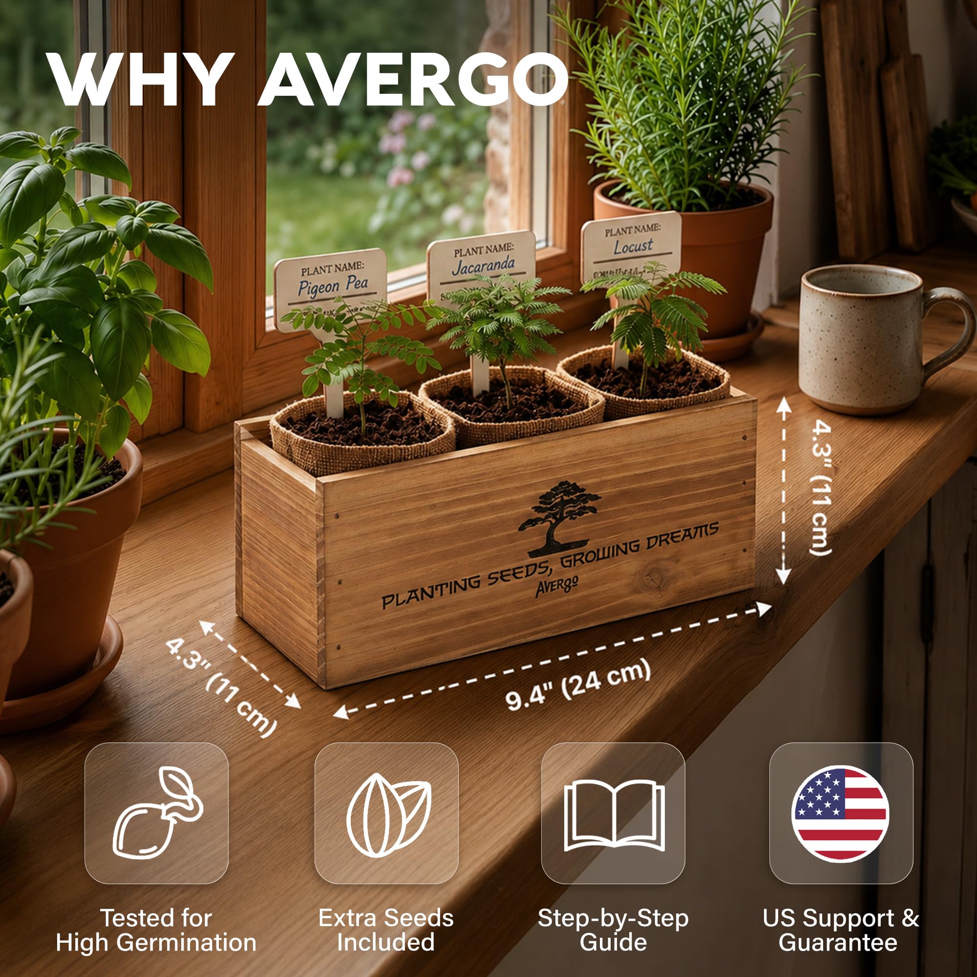 Inside contents of AVERGO Bonsai Tree Kit with tools and seeds
