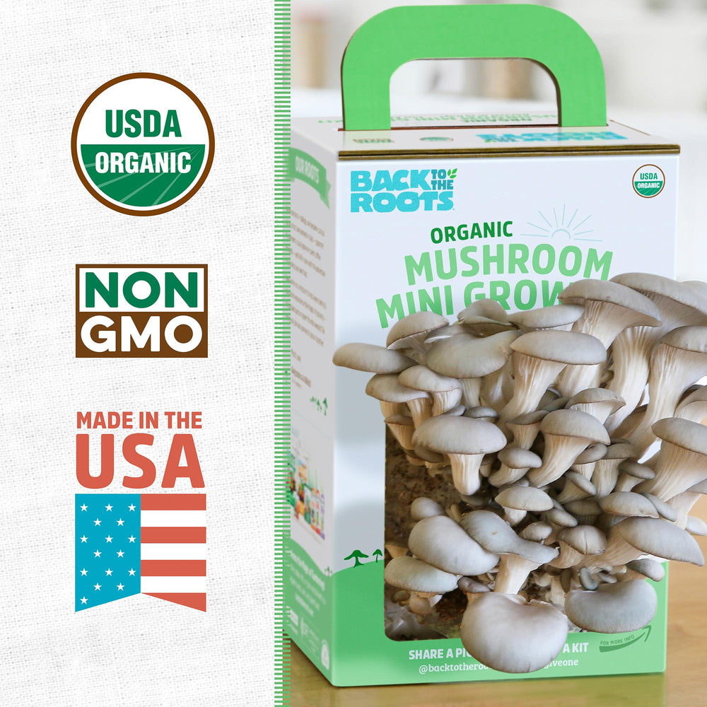 Inside of Back to the Roots Mushroom Grow Kit with soil and spawn
