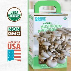 Inside of Back to the Roots Mushroom Grow Kit with soil and spawn