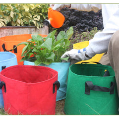Inside view of Biotolot 5-gallon grow bag showing fabric material