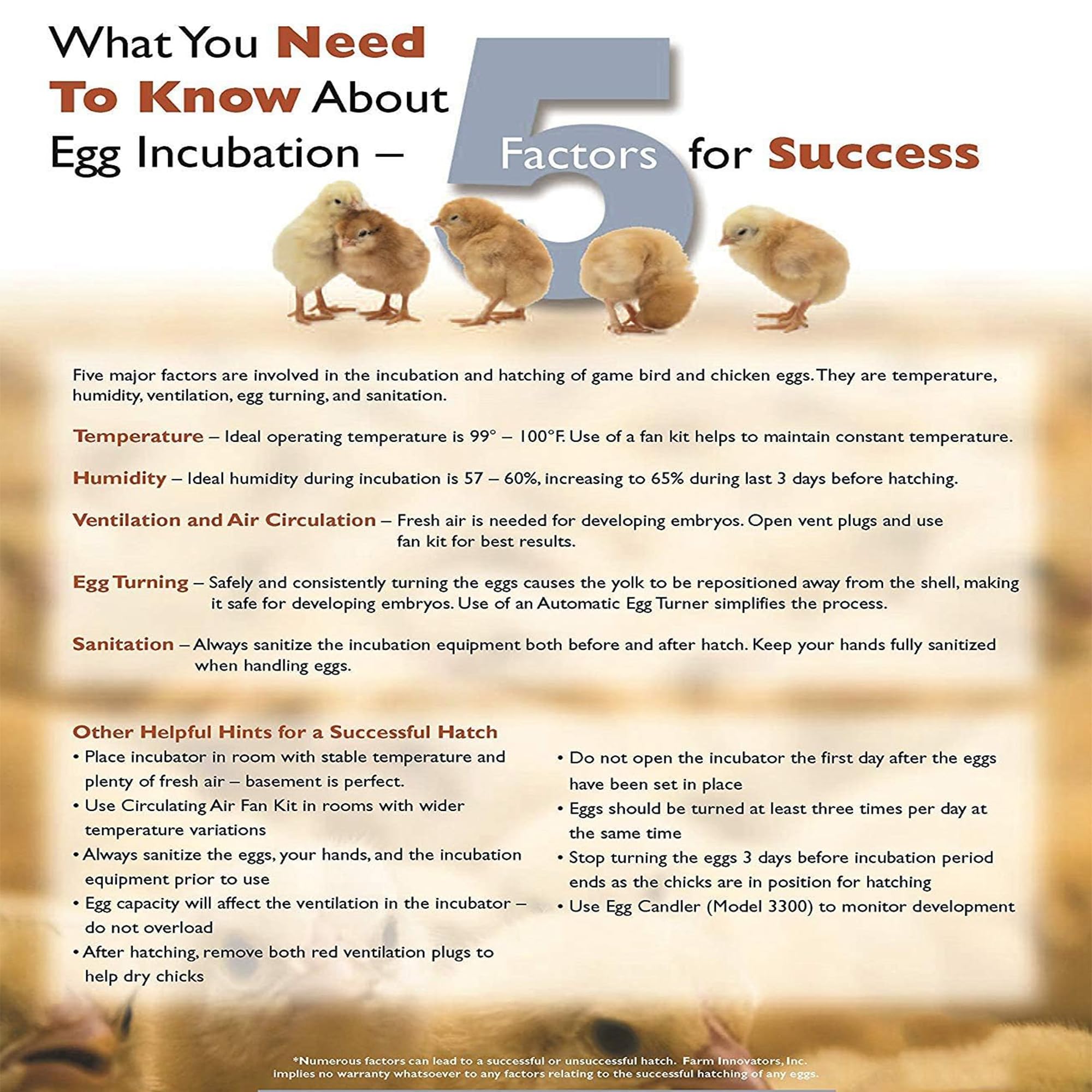 Inside view of Farm Innovators incubator with eggs