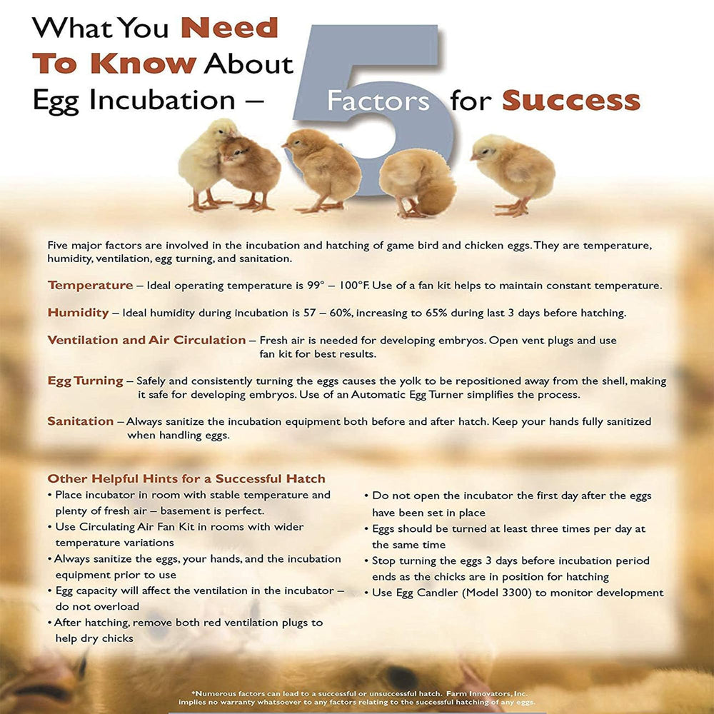Inside view of Farm Innovators incubator with eggs