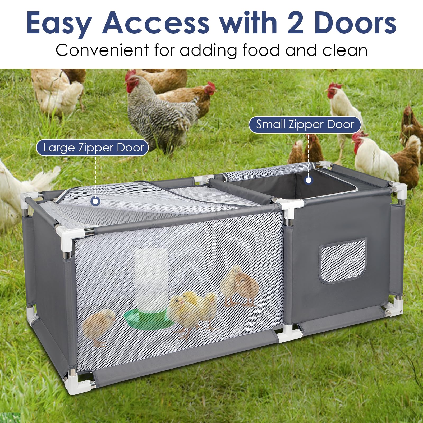 Inside view of MeoWriental Brooder Box with chicks