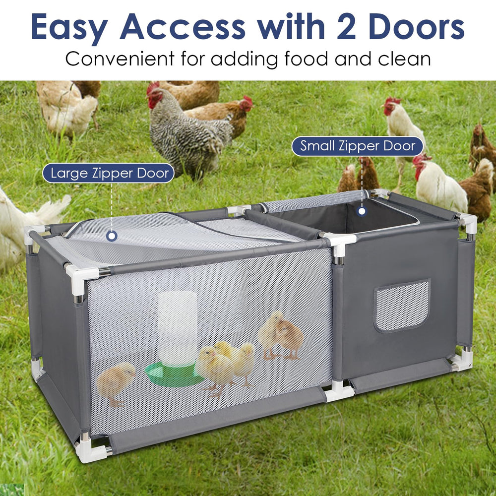Inside view of MeoWriental Brooder Box with chicks