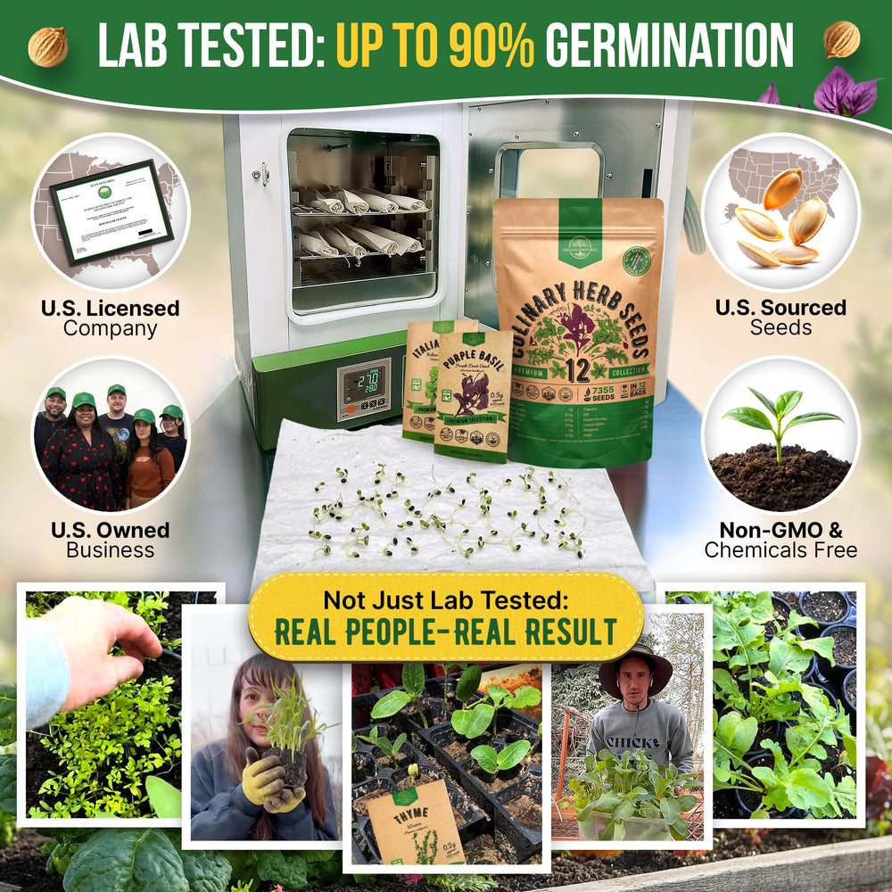 Inside view of Organo Republic herb seeds packets