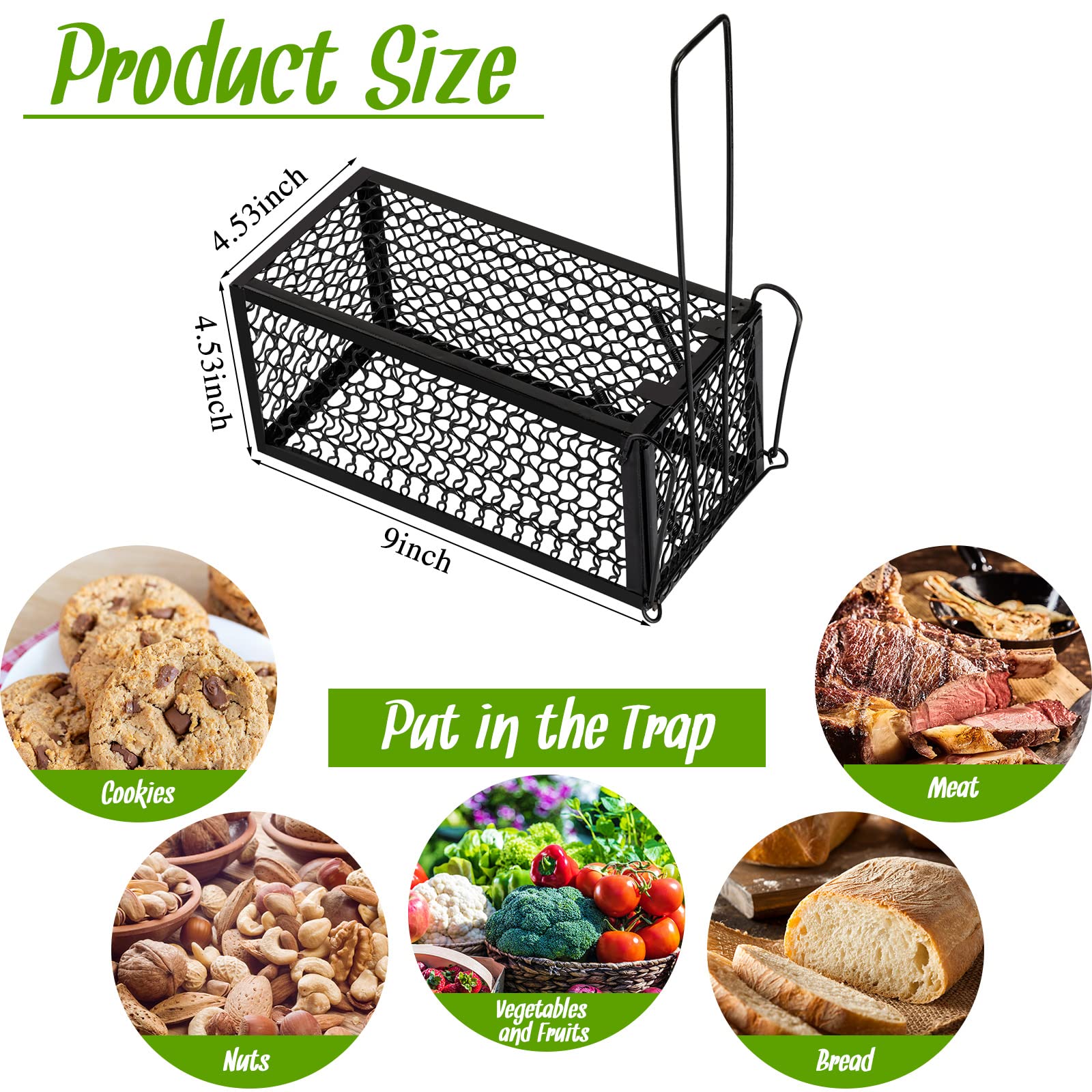 Inside view of Qualirey live animal cage trap