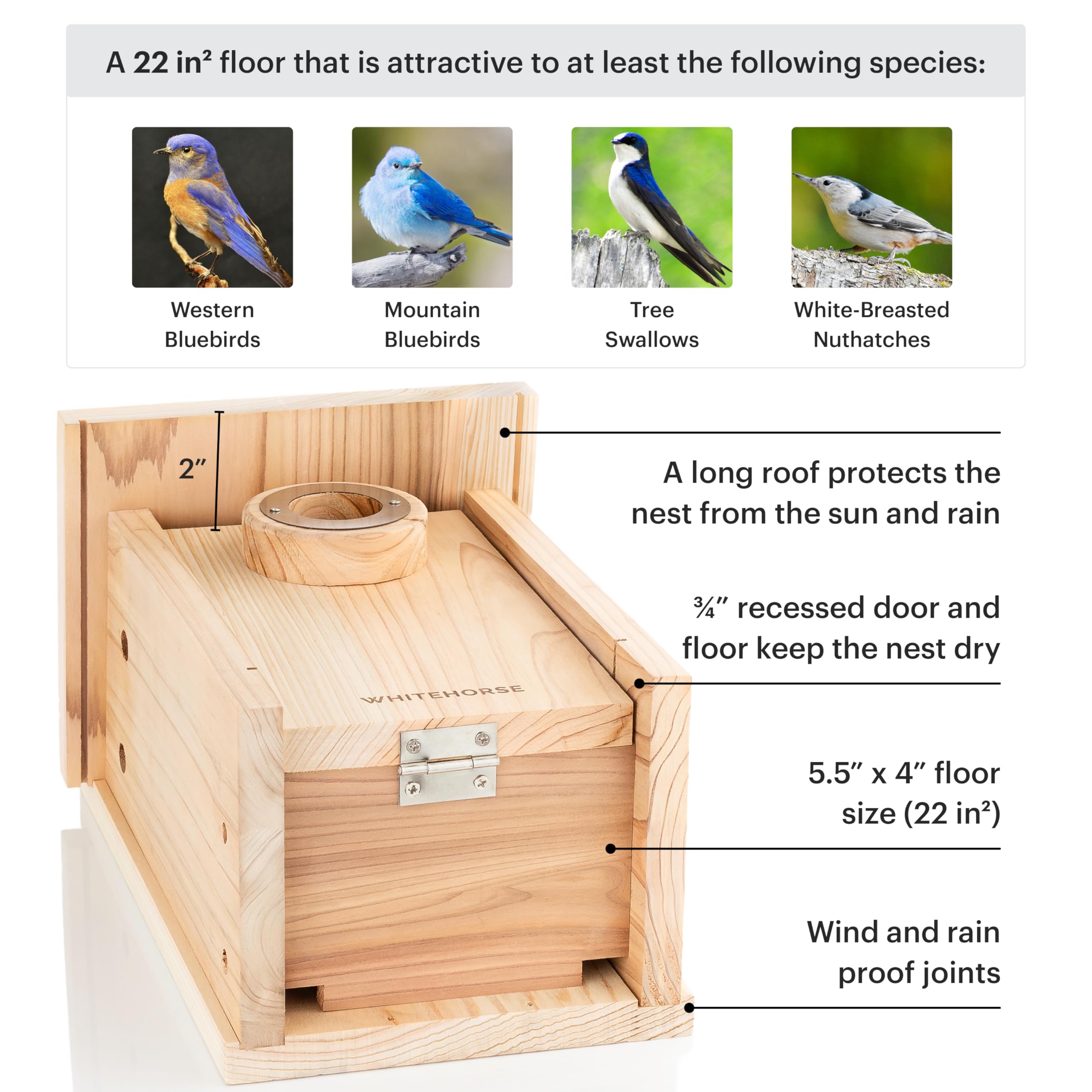 Inside view of the WHITEHORSE Bluebird House with drainage holes