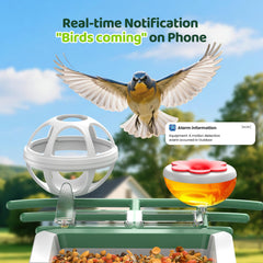 Inside view of UMOCUOY Bird Feeder showing feeding compartment