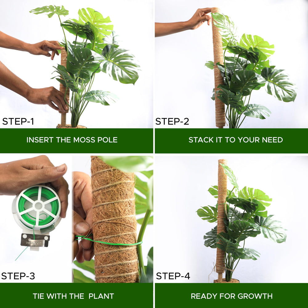 Installation accessories for EcoNour moss pole