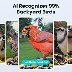 Installation accessories included with Birdfy Smart Bird Feeder
