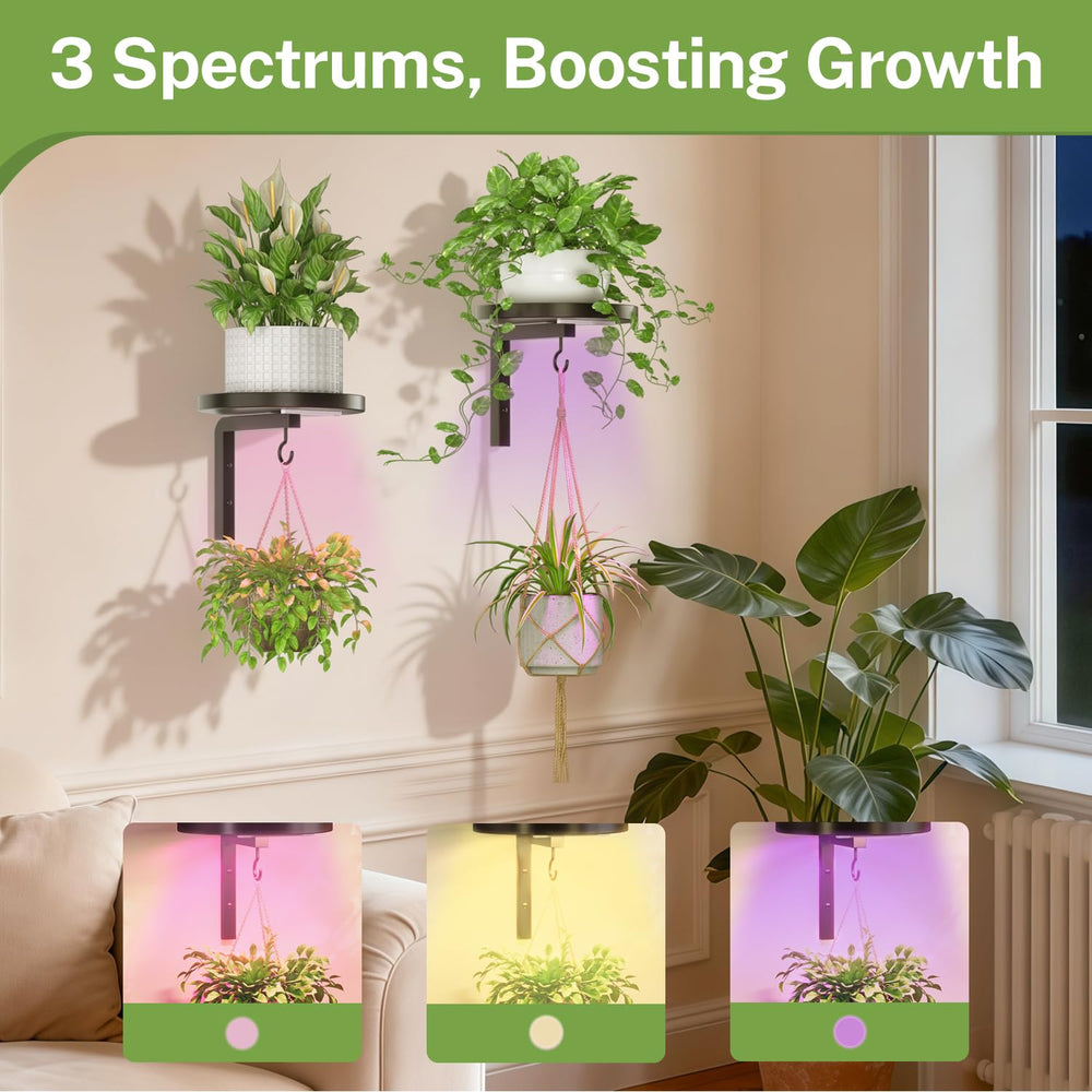 Installation guide for iDavosic.ly plant wall hanger