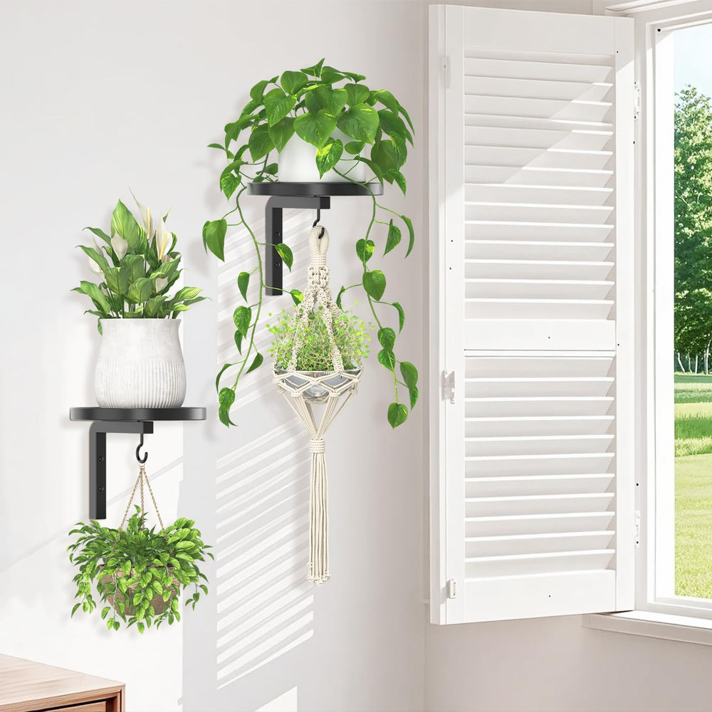 Installation instructions for iDavosic.ly Plant Wall Hanger