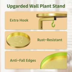 Installation instructions for LASZOLA plant hanger