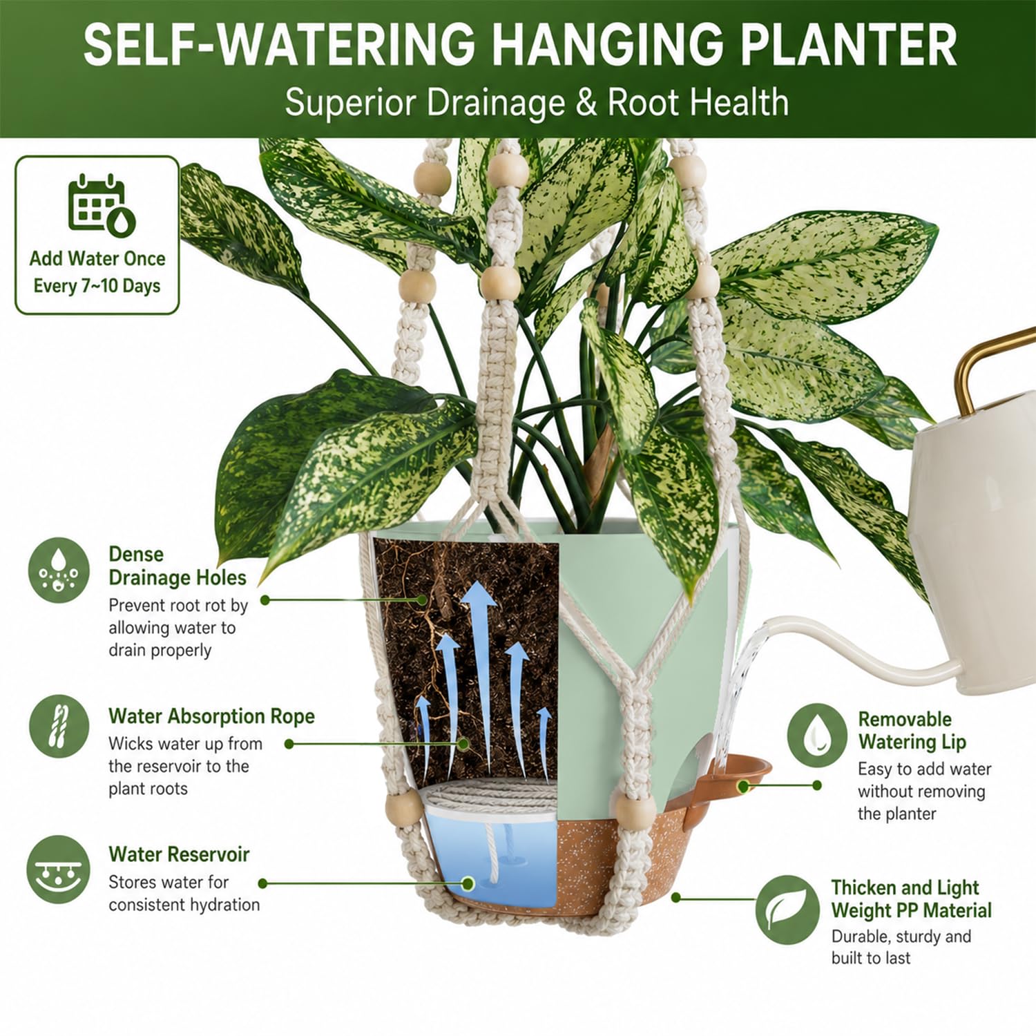 Installation of Bouqlife hanging plants with wall hooks