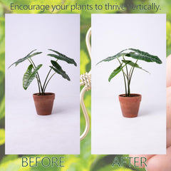 Installation of Goooxim Monstera Plant Support Hook on a plant