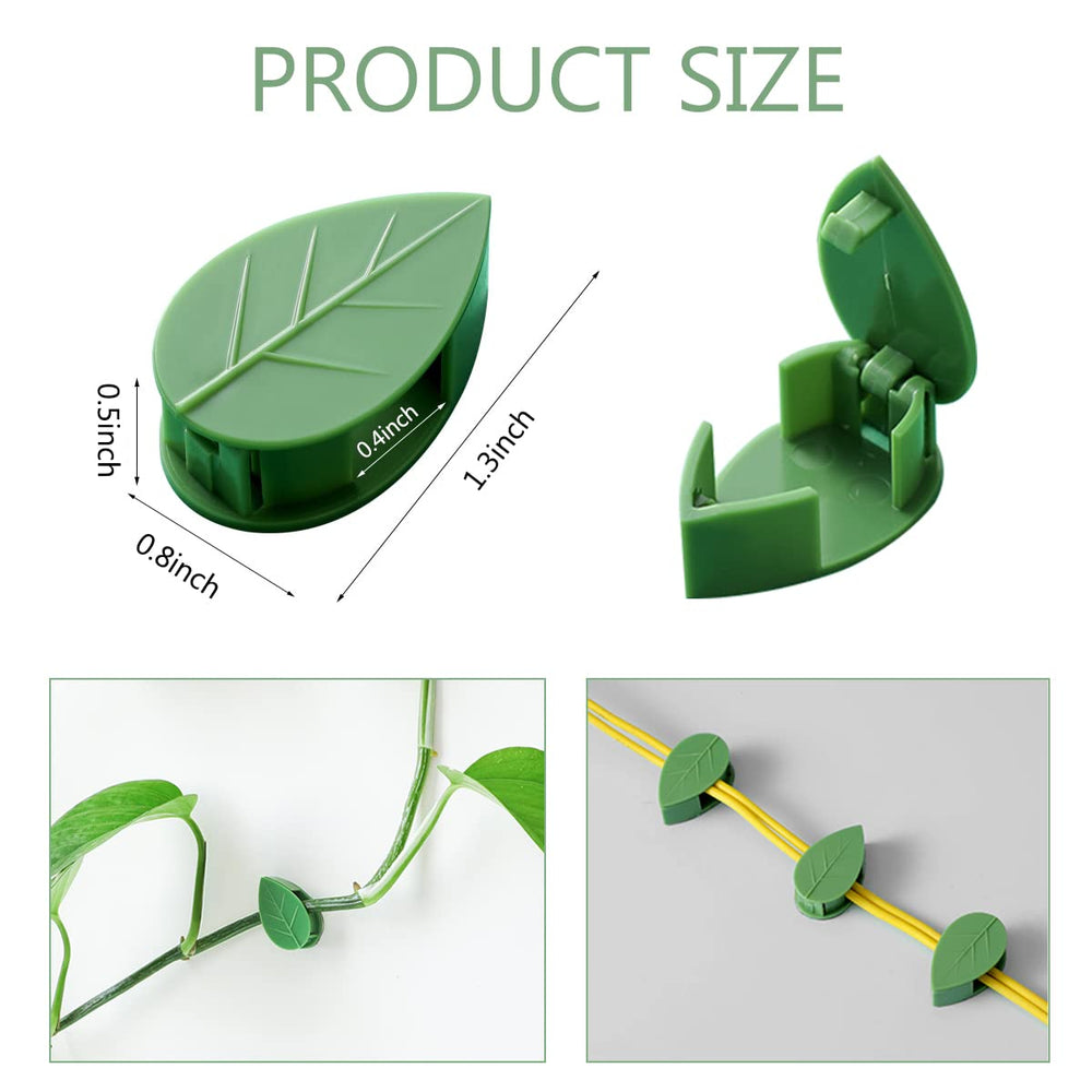 Installation of LUCKJUJU Plant Climbing Clips on wall
