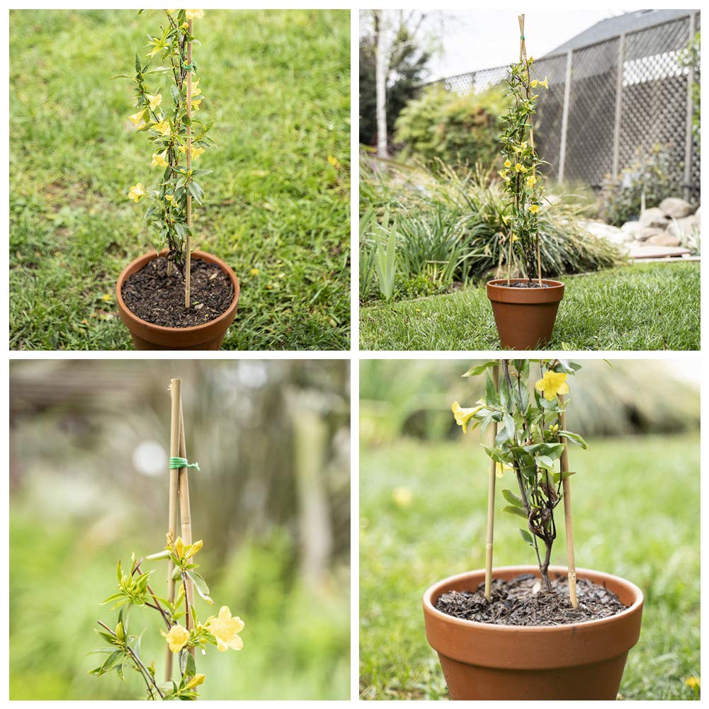 Installation of Mininfa bamboo stake in garden soil