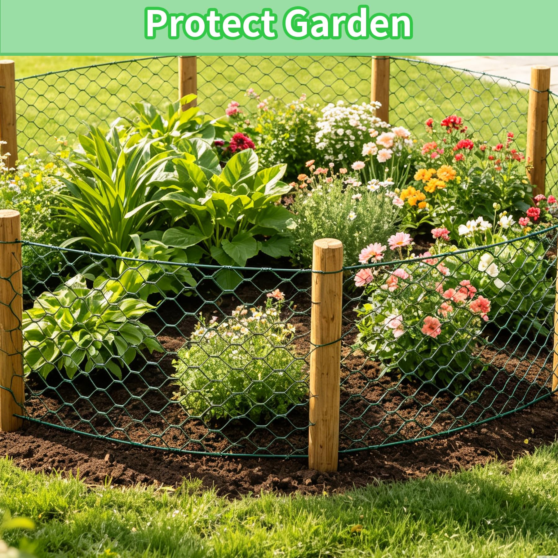 Installation of Miuwauer chicken wire in a garden