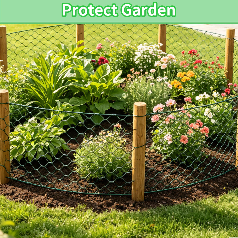 Installation of Miuwauer chicken wire in a garden