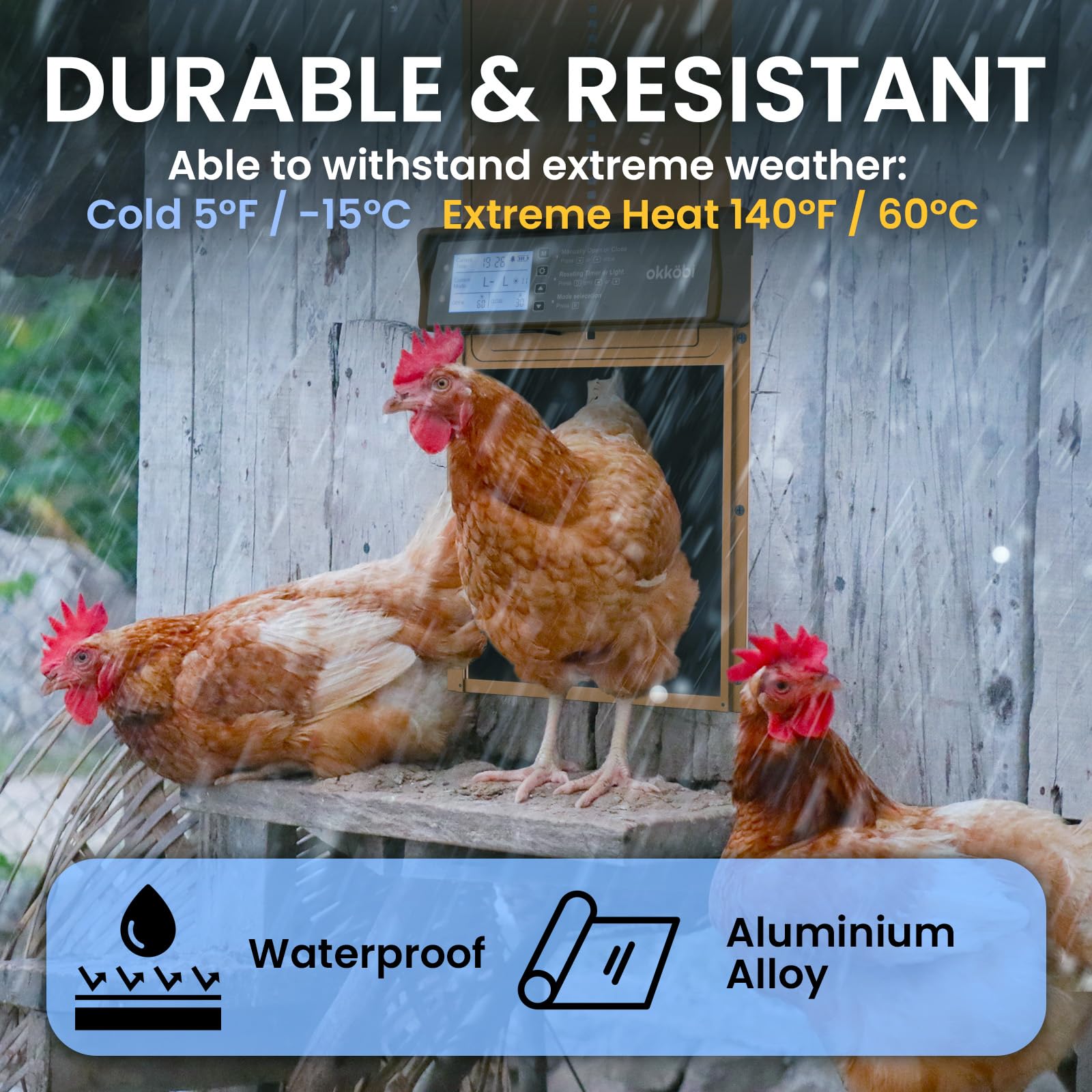 Installation of OKKÖBI Chicken Coop Door in a backyard coop