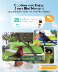 installation of onlyfly bird feeder on a tree