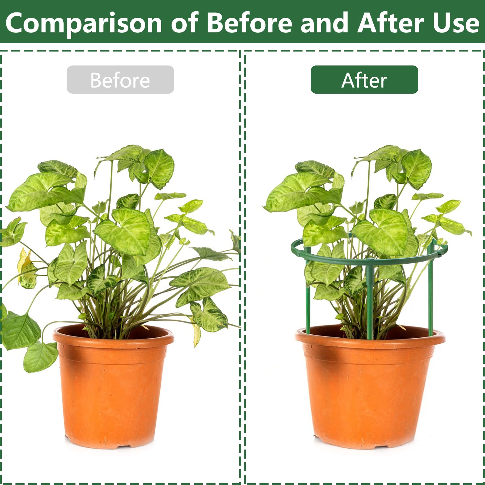 Installation of SIBRANT plant support stakes in garden soil