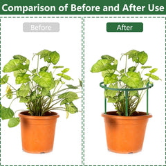 Installation of SIBRANT plant support stakes in garden soil