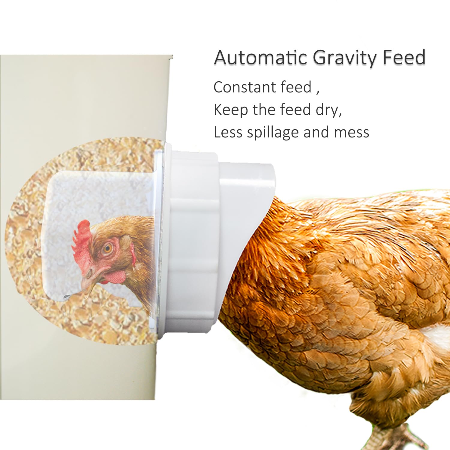 Installation of Suplklz chicken feeder port on a bucket