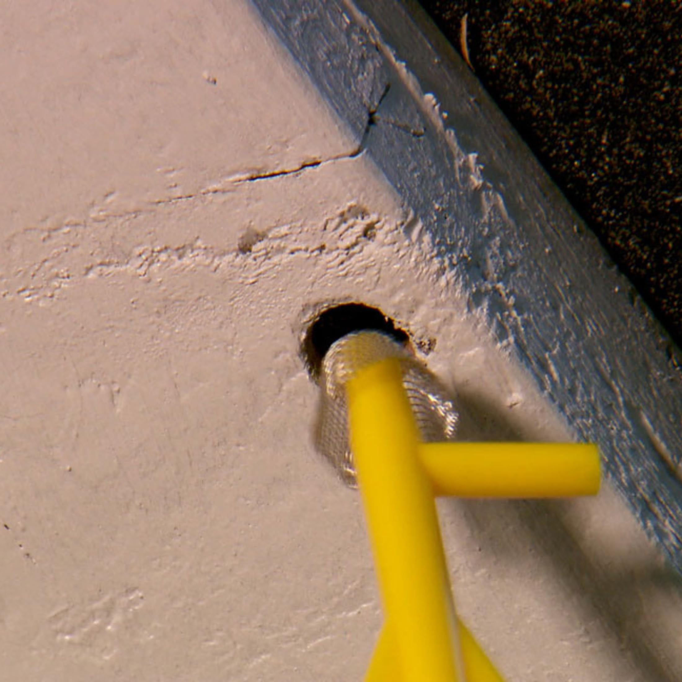 Installation process of BB PRO Carpenter Bee Trap plugs